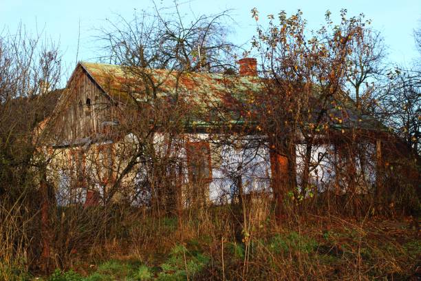 istock Old abandoned clay village hut 1312307978