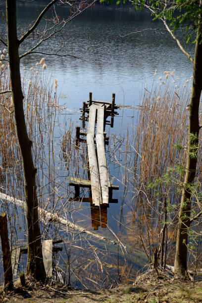 istock Belarusian landscape. Wooden pier on the lake. A solid spring day in April. Forest river Vyacha. Reflection in water. Trees on the shore. 1312311867