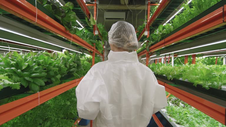 Agricultural Expert In Vertical Farm