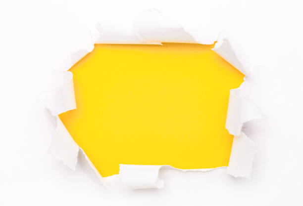 istock Torn white paper lies on a bright yellow background. Template. Copy space 1312320396