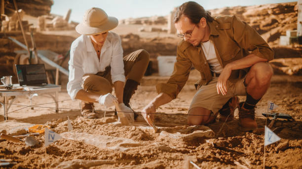 Archaeological Digging Site: Two Great Paleontologists Cleaning Newly Discovered of Dinosaur. Archeologists on Excavation Site Discover Fossil Remains of New Species Skeleton. Close-up Focus on Hands sitio de excavación arqueológica: dos grandes paleontólogos limpiando recientemente descubiertos de dinosaurios. arqueólogos en el sitio de excavación descubren restos fósiles de esqueleto de nuevas especies. enfoque de primer plano en las manos