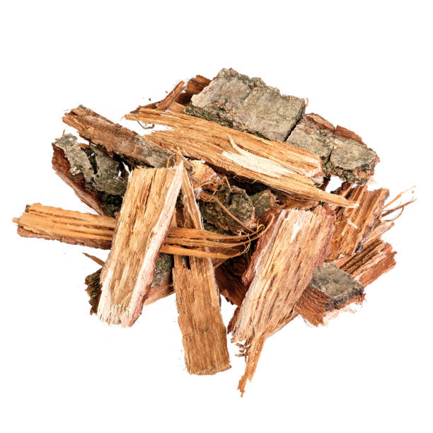 istock Old Oak bark used to make medicinal tinctures and whiskey. 1312320889
