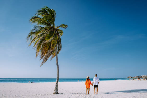 istock Palm Trees on the shoreline of Eagle Beach in Aruba 1312323116