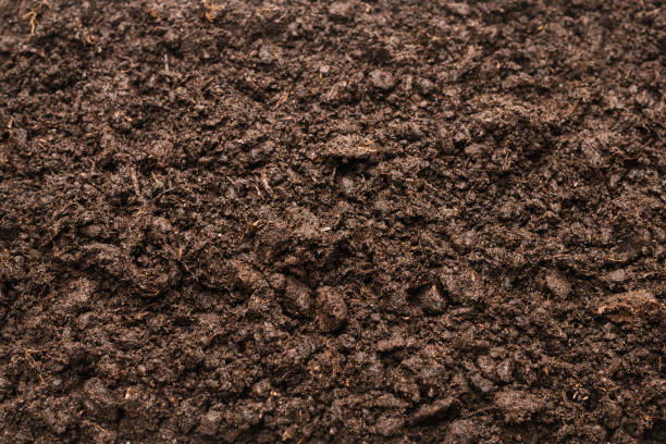 istock Black land for plant background. 1312323516