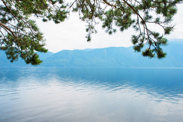 Teletskoye lake in Altai mountains, Siberia, Russia. Beauty summer morning. The lake is a UNESCO World Cultural and Natural Heritage Site.
