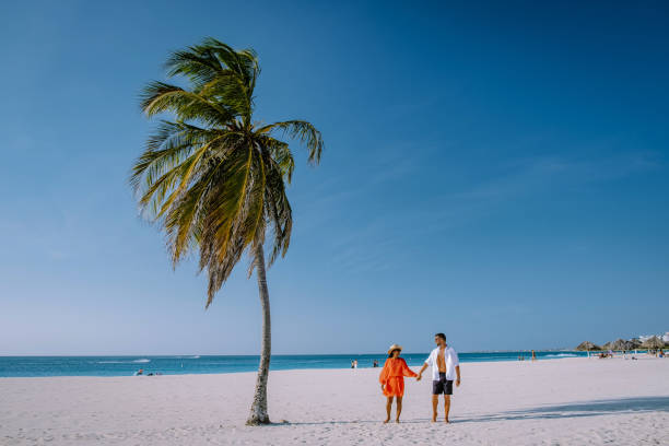 istock Palm Trees on the shoreline of Eagle Beach in Aruba 1312323583