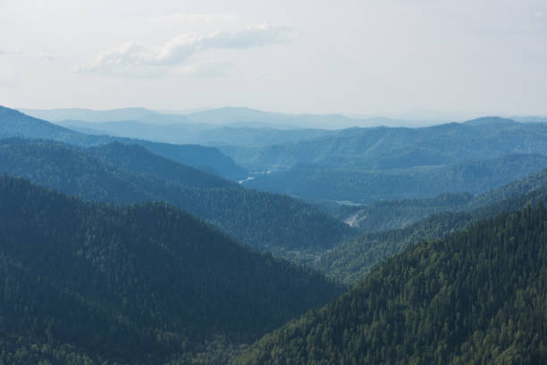 istock Beauty day in the mountains 1312323701