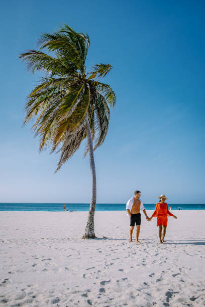 istock Palm Trees on the shoreline of Eagle Beach in Aruba 1312324534