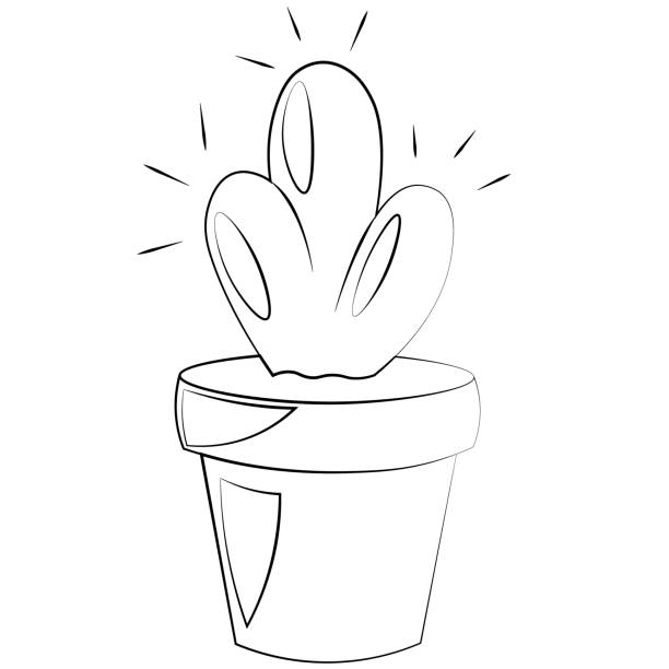 ilustrações, clipart, desenhos animados e ícones de elemento único cactus em pote. desenhar ilustração em preto e branco - flower pot potted plant cactus single flower