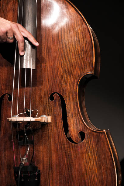 istock Jazz bassist 1312326404