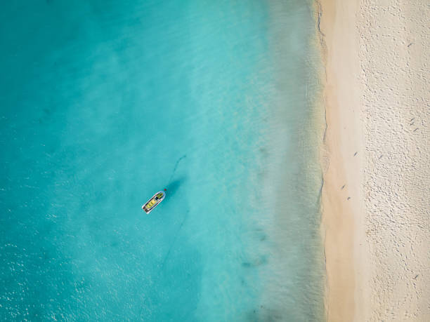 istock Palm Trees on the shoreline of Eagle Beach in Aruba 1312327862