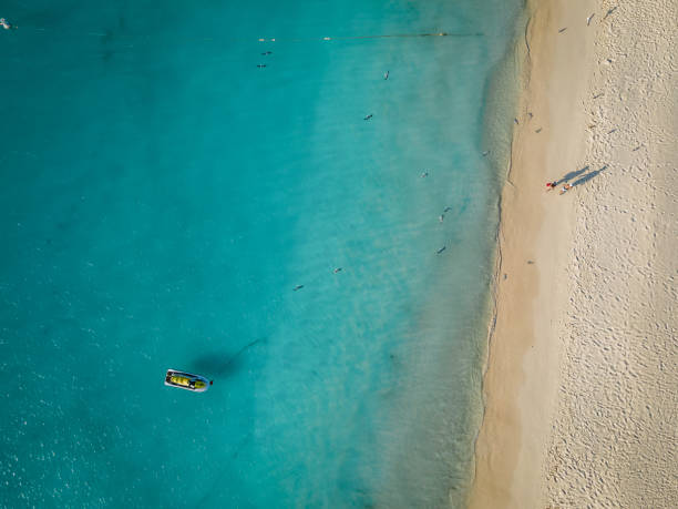 istock Palm Trees on the shoreline of Eagle Beach in Aruba 1312328124