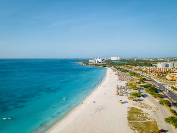 istock Palm Trees on the shoreline of Eagle Beach in Aruba 1312328212