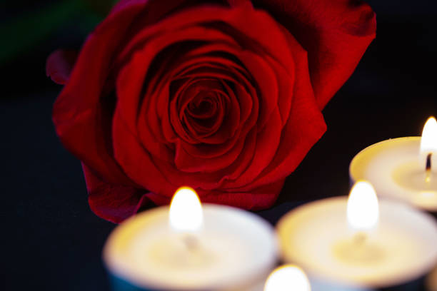 istock Rose with candles, red background 1312328914