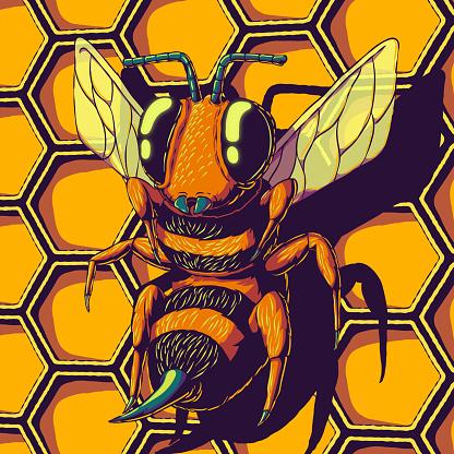 Hand-drawn colorful vector illustration - Bee on honeycomb background.
