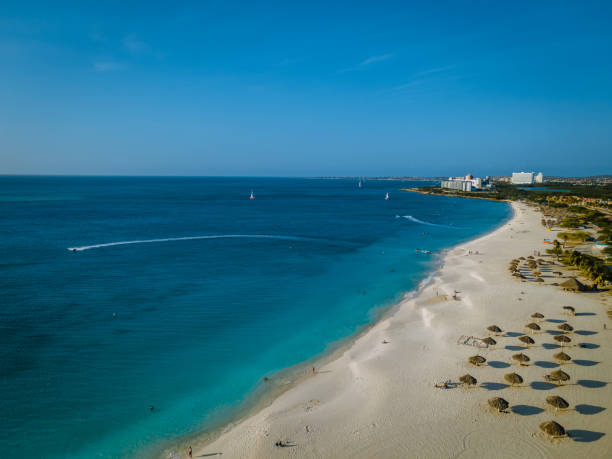 Palm Trees on the shoreline of Eagle Beach in Aruba