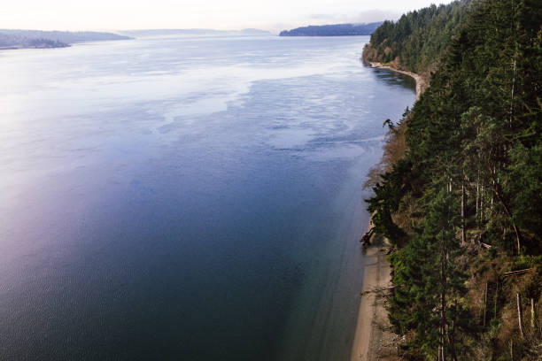 istock Puget Sound Coastline From Above 1312329315