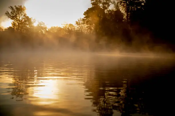 Sunrise canoe ride on foggy river. in United States, Virginia, Suffolk