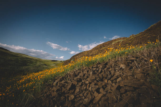 Mountain desert terrain, Andalucia