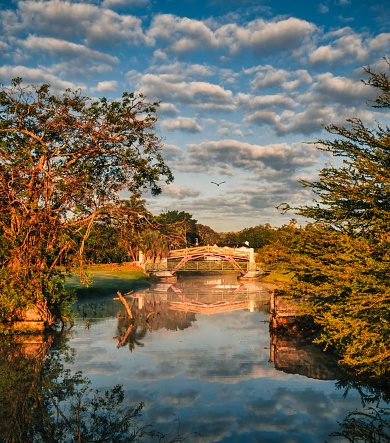 lake in autumn beautiful place clouds sky miami florida trees reflecti in Miami, FL, United States