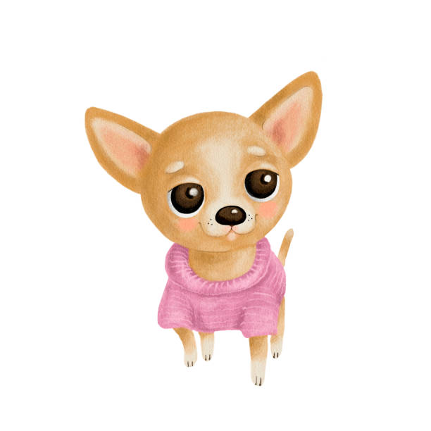 Chihuahua Y Prendas Vectores Libres de Derechos - iStock Chihuahua Y Prendas Vectores Libres de Derechos - iStock