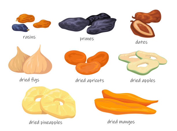 ilustrações de stock, clip art, desenhos animados e ícones de colorful sweet dry fruit snacks flat pictures - dried apple