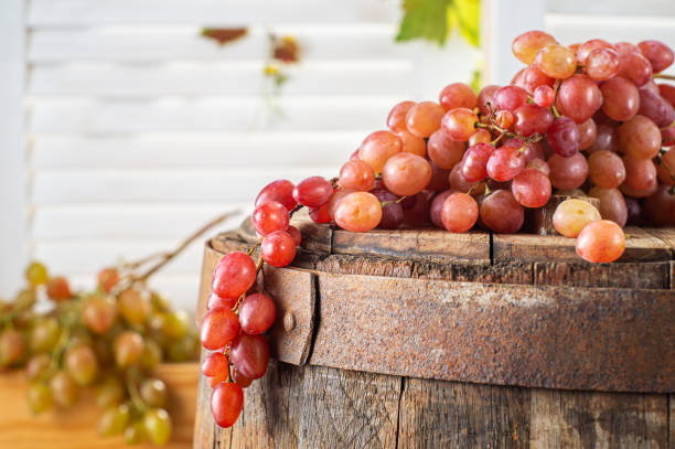 istock Ripe grapes on wine barrel 1312331766