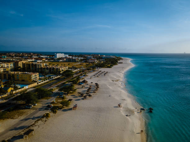 istock Palm Trees on the shoreline of Eagle Beach in Aruba 1312331941