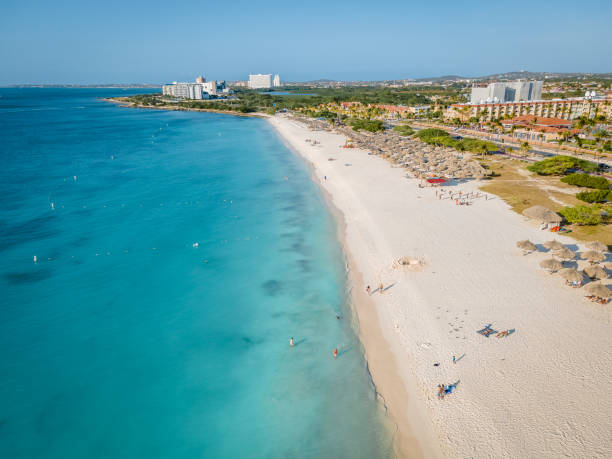 istock Palm Trees on the shoreline of Eagle Beach in Aruba 1312332529