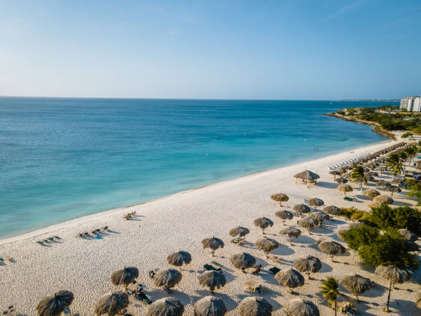 istock Palm Trees on the shoreline of Eagle Beach in Aruba 1312332825