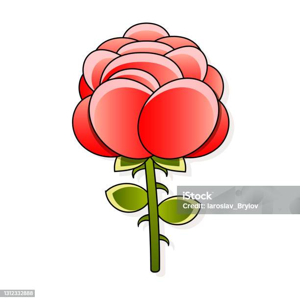 Ruby Flower Drawing Deep Red Ruby Rose Flower With Green Leaves Sketch Style Stock ...