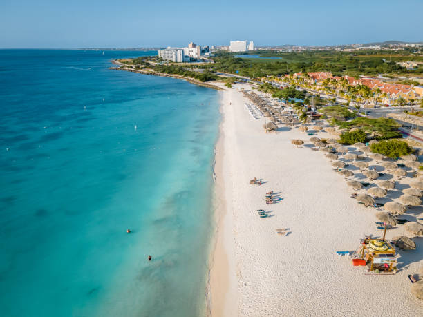 Palm Trees on the shoreline of Eagle Beach in Aruba