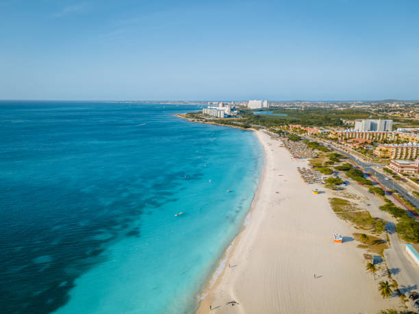 istock Palm Trees on the shoreline of Eagle Beach in Aruba 1312332965