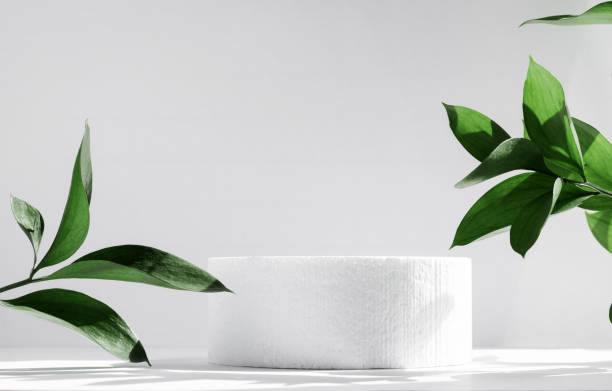 istock Cylindrical podium on a white background with hard shadows and leaves. Minimal empty scene of cosmetic products presentation. Geometric podium. 1312333104