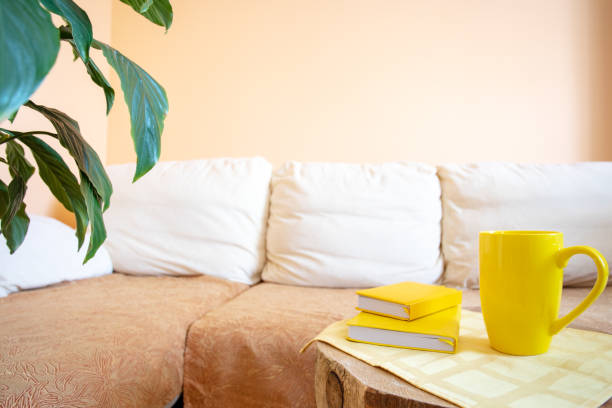 istock Comfortable light recreation area for relaxation with couch, house plants, yellow cup and notepads close up. 1312334111