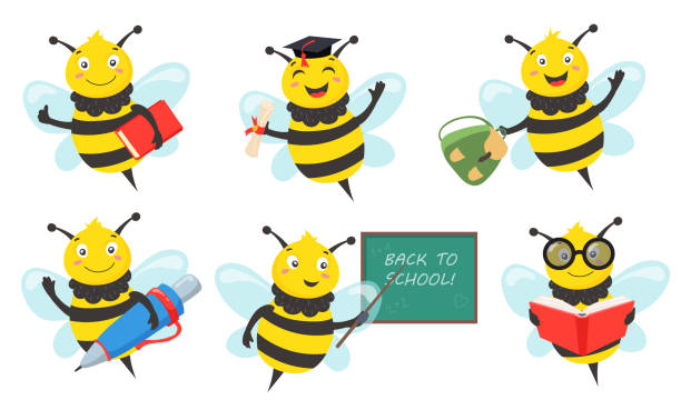 Cute bee in school flat pictures collection Cute bee in school flat pictures collection. Cartoon creative bee character learning and holding book, pen or bag isolated vector illustrations. Graduation and study concept bee costume stock illustrations