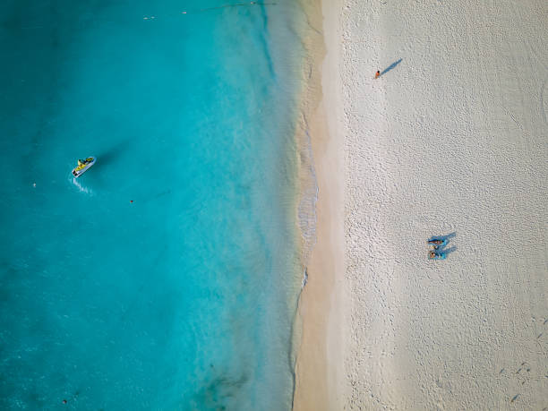 istock Palm Trees on the shoreline of Eagle Beach in Aruba 1312335405