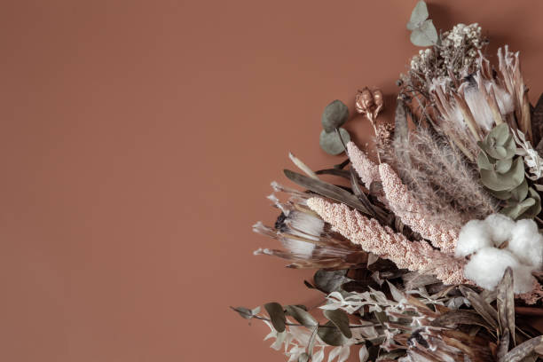 istock Composition with dry wildflowers and cotton copy space. 1312335759