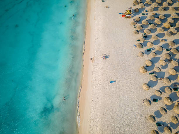istock Palm Trees on the shoreline of Eagle Beach in Aruba 1312336669
