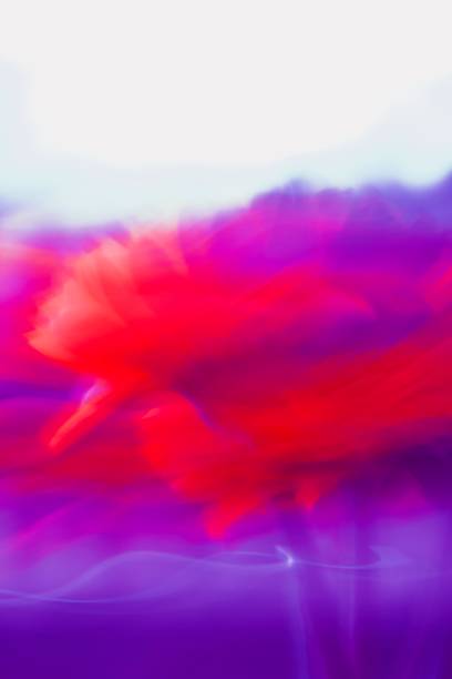 Abstract beauty in nature, pink, purple lowers