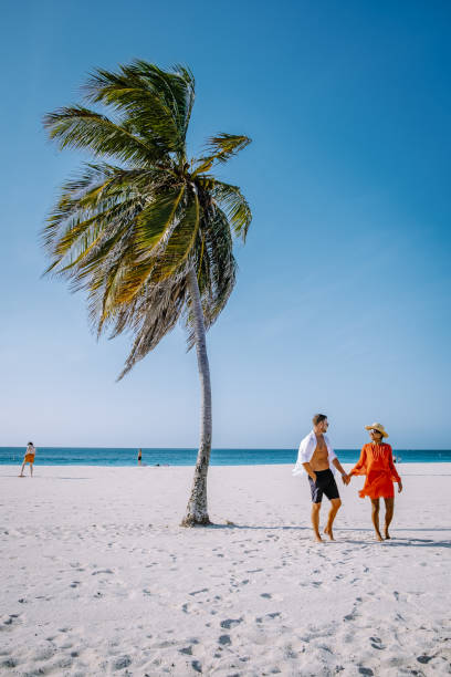 istock Palm Trees on the shoreline of Eagle Beach in Aruba 1312337456