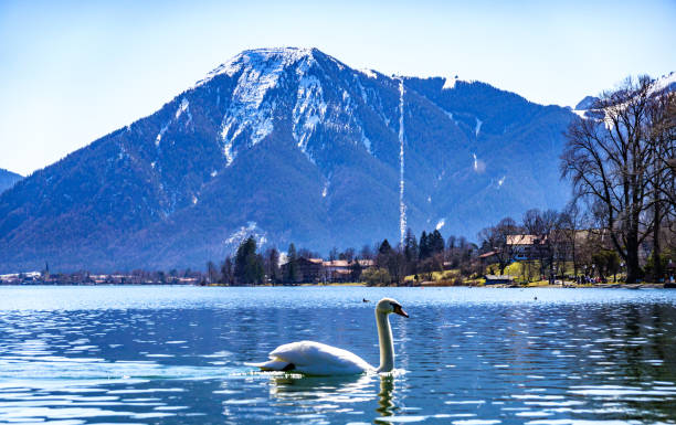 istock landscape at the lake tegernsee 1312338264