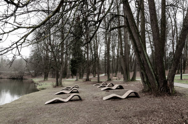 istock Empty deckchairs in city park during rainy november somber morning. 1312339314