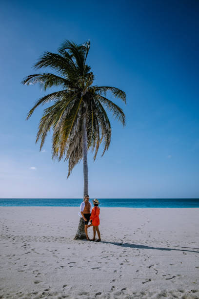 istock Palm Trees on the shoreline of Eagle Beach in Aruba 1312340465