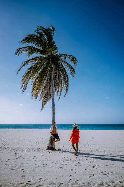 istock Palm Trees on the shoreline of Eagle Beach in Aruba 1312340627