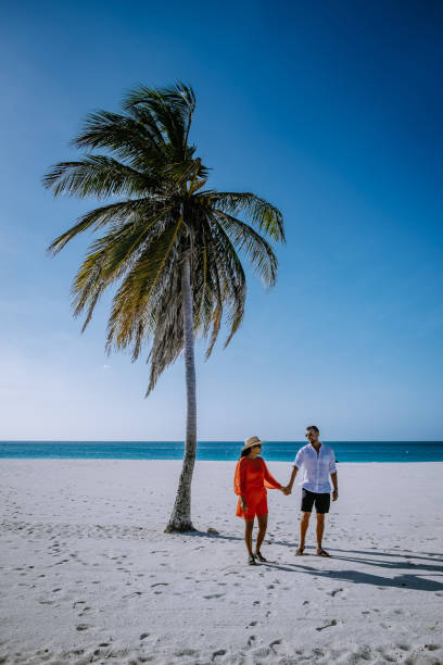 istock Palm Trees on the shoreline of Eagle Beach in Aruba 1312341577