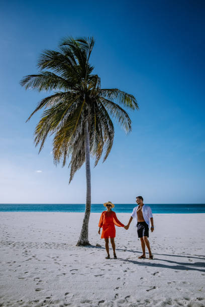 istock Palm Trees on the shoreline of Eagle Beach in Aruba 1312341655