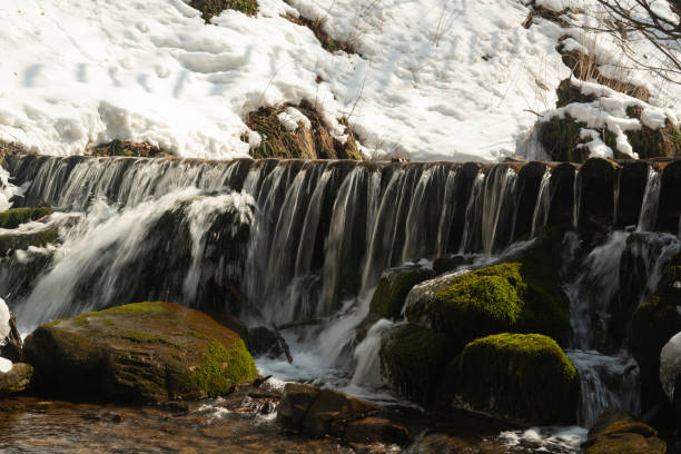 Winter coniferous forest in winter on a sunny day.Mountain stream.Shipot waterfall and its surroundings. Carpathians. Ukraine.