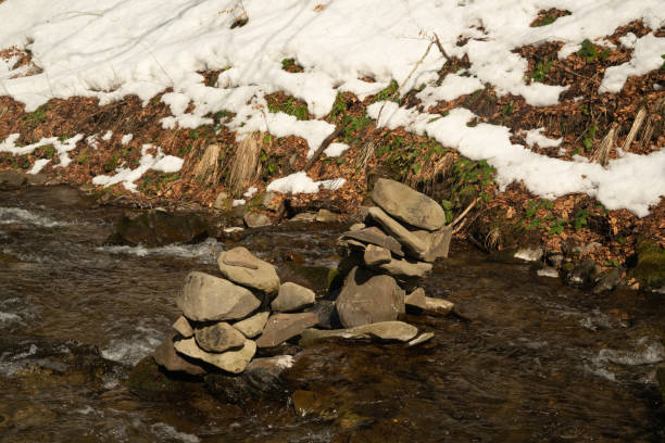 Winter coniferous forest in winter on a sunny day.Mountain stream.Shipot waterfall and its surroundings. Carpathians. Ukraine.
