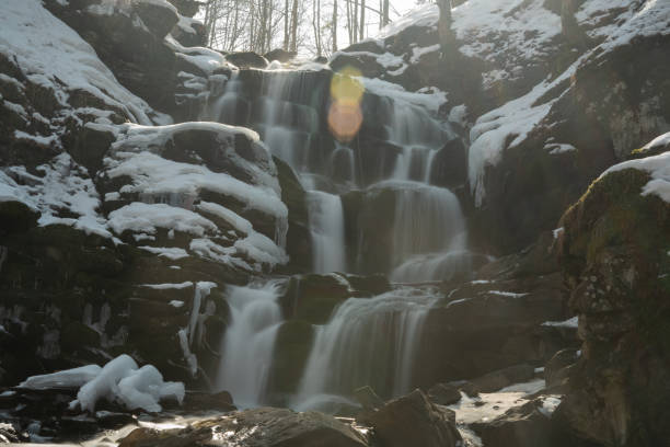 Winter coniferous forest in winter on a sunny day.Mountain stream.Shipot waterfall and its surroundings. Carpathians. Ukraine.